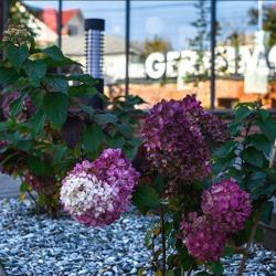 Фото Отель Герасимов