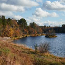 Фото Отель Белкина дача