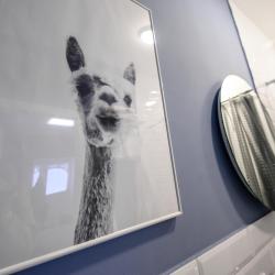 Фото Отель на Страусиной ферме