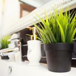 Фото Отель Новая Астория