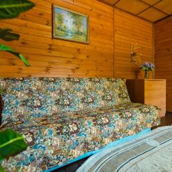Номер эконом с 1 двуспальной кроватью и диваном (общие удобства)