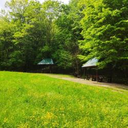 Фото Отель Очаровательная поляна