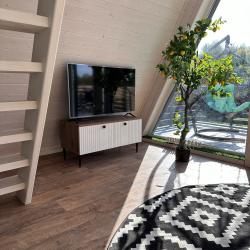 A-frame Рекс