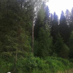 Фото Отель Гостевой дворик