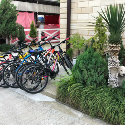 Фото Отель Кристалл