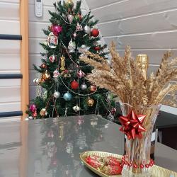 Фото Отель Икигай