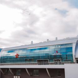 Фото Отель Maxima Domodedovo Hotel (Максима Домодедово)