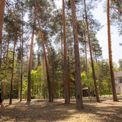 Фото Отель Сосновый бор