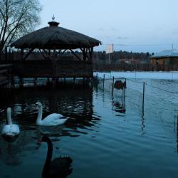 Фото Отель Соколиное Гнездо