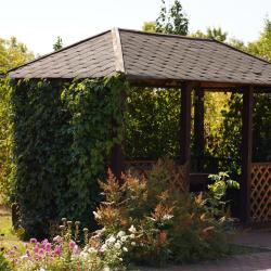 Фото Отель Санаторий Евромед