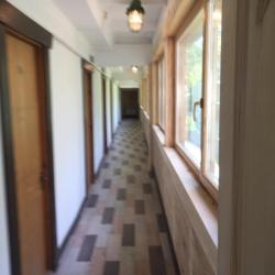 Фото Отель Ёжик