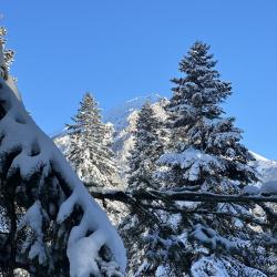 Эко Парк — d598bbe44520d5781cc6802f27d0333f