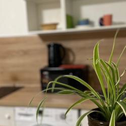 Апартаменты студия