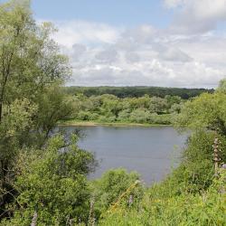 Фото Дачный отель Лесные Поляны