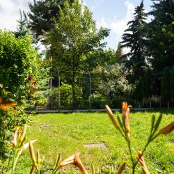 Фото Отель Mountains (Маунтинс)