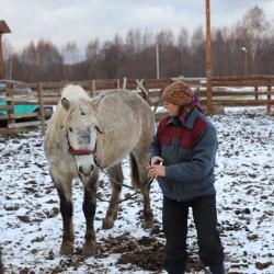 Фото Отель Волжский фермер