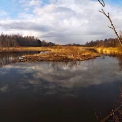 Фото Отель Гостевой дом Брейтово