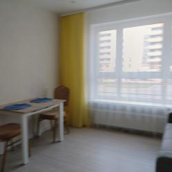 Фото Апартаменты на улице Большая Московская 132 к2
