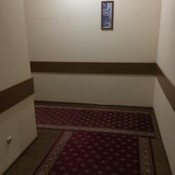 Фото Отель Камелия