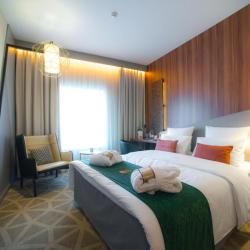 Фото Отель Mercure Saransk Center (Меркюр Центр)