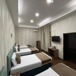 Фото Отель Shosh Avenue Hotel (Шош Авеню)