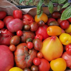 Фото Отель Усадьба