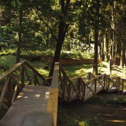 Фото Отель Зобовские дачи