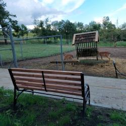 Фото Отель Deer Farm (Дир фарм)