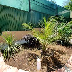 Фото Отель Атлант