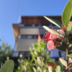 Фото Отель Riviera (Ривьера)