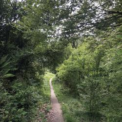 Фото Отель Весна