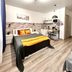 1-комнатные апартаменты студия №1