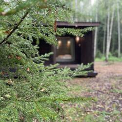Фото Отель Forester Glamping (Форестер Глэмпинг)