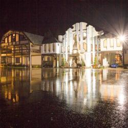 Фото Отель Фестиваль