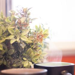 Фото Отель Apartament 52 на улице Прыгунова