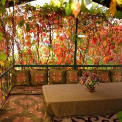 Фото Отель Альпинист