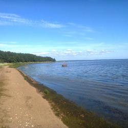 Фото Отель На берегу Финского залива