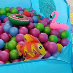 Фото Отель Гостевой дом АмиКо Club