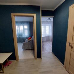 Фото Апартаменты в Автозаводском микрорайоне 24