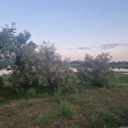 Фото Отель Таловиночка