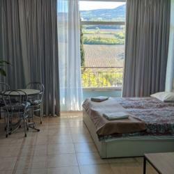 1-комнатные апартаменты студия 1.3