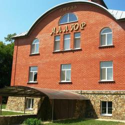 Фото Отель Аллюр