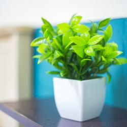 2-комнатный номер улучшенный