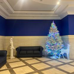 Фото Апартаменты на улице Чкалова 40