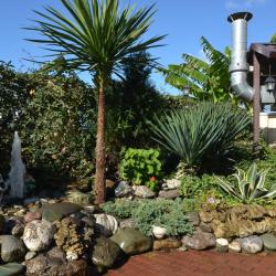 Фото Отель Страна магнолий