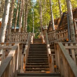 Фото Отель Ой-Карагай Лесная Сказка (Oi-Qaragai)