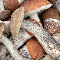 Фото Отель Гостевой дом Брейтово