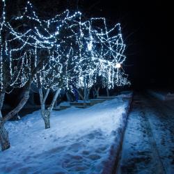 фото 79 Мечта Парк-отель