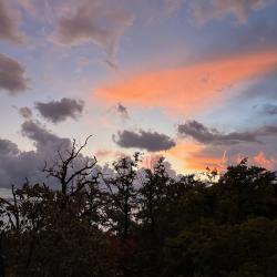 Фото Отель Пансионат Лад