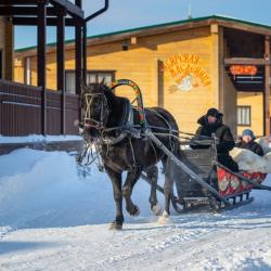 Фото Отель Золото Алтая